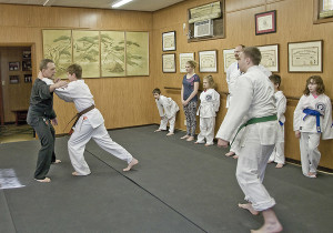 Brown belt practices attack